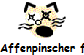 Affenpinscher fr�her und heute