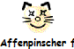 Affenpinscher fr�her und heute