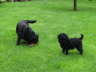 mit Clara im Garten