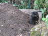 bei der Gartenarbeit